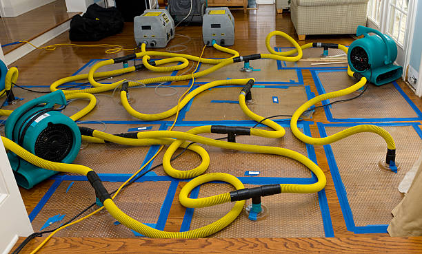 Professional Crawl Space Water Removal technician working in Fosters, AL